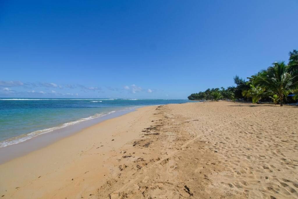 Palmeraie Terrenas Beach Apartamento Las Terrenas Εξωτερικό φωτογραφία